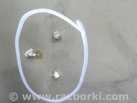 ФОТО Крыло переднее для Toyota Camry 30 XV30 (09.2001-03.2006) Киев