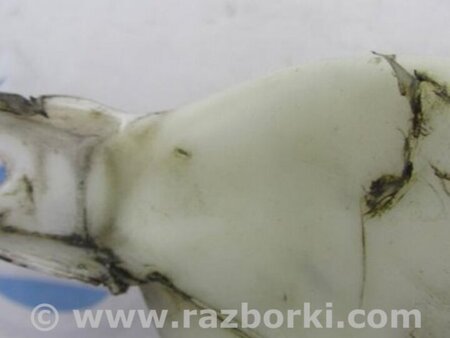 ФОТО Бачок омывателя для Acura MDX YD1 (2000-2006) Киев