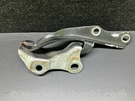 ФОТО Петля капота для Lexus ES300/ES330 (01-06) Киев