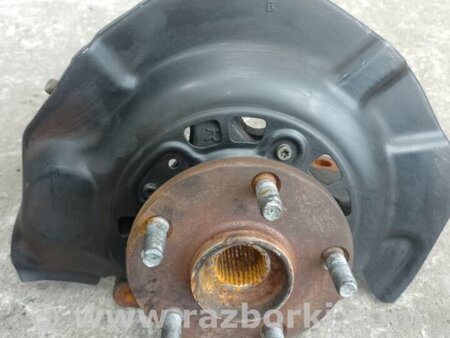 ФОТО Кулак поворотный для Toyota Avalon XX30 (12.2004-10.2012) Киев