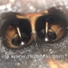 ФОТО Двигатель бензиновый для Toyota Camry 30 XV30 (09.2001-03.2006) Киев