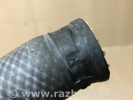 ФОТО Патрубок системы охлаждения для Toyota Camry 30 XV30 (09.2001-03.2006) Киев