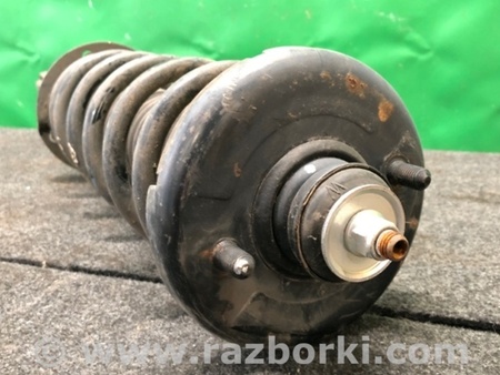 ФОТО Амортизатор для Acura TSX CL9 (01.2003-02.2008) Киев
