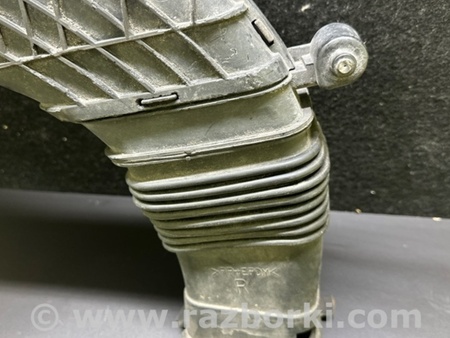 ФОТО Воздухозаборник для Lexus LS460 (06-12) Киев