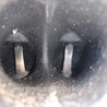 ФОТО Двигатель бензиновый для Toyota Camry 40 XV40 (01.2006-07.2011) Киев