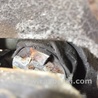 ФОТО Суппорт для Scion xB (II) (2007-2015) Киев