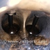 ФОТО Двигатель бензиновый для Honda Accord CM (11.2002 - 12.2008) Киев
