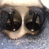 ФОТО Двигатель бензиновый для Honda Accord CM (11.2002 - 12.2008) Киев