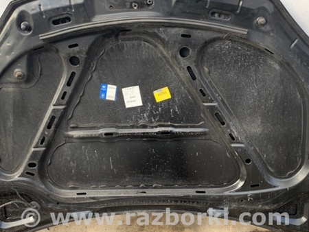 ФОТО Капот для Volkswagen Jetta 5 1K2, 1K5 (01.2005 - 12.2010) Киев