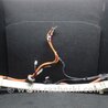Проводка высоковольтной батареи Toyota Camry 40 XV40 (01.2006-07.2011)