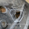 ФОТО Подкрылок для Mazda 6 GH (2008-...) Киев