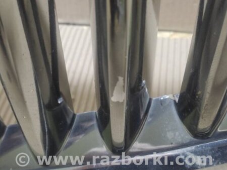 ФОТО Решетка радиатора для Buick Enclave (08-12) Киев
