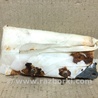 ФОТО Airbag сидения для Lexus ES350 (06-12) Киев