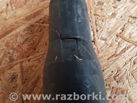ФОТО Амортизатор для Acura RDX TB 1/2 (07.2006-2012) Киев