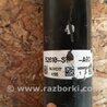 ФОТО Амортизатор для Acura RDX TB 1/2 (07.2006-2012) Киев