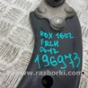 ФОТО Рычаг передний нижний для Acura RDX TB 1/2 (07.2006-2012) Киев