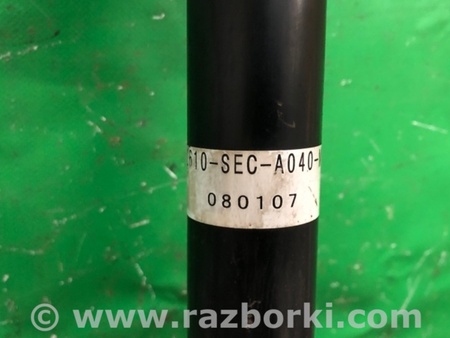 ФОТО Амортизатор для Acura TSX CL9 (01.2003-02.2008) Киев
