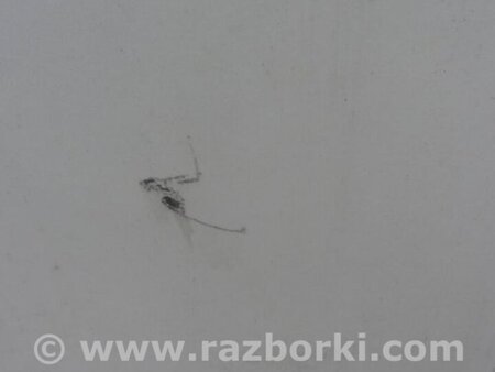 ФОТО Дверь для Acura TSX CL9 (01.2003-02.2008) Киев