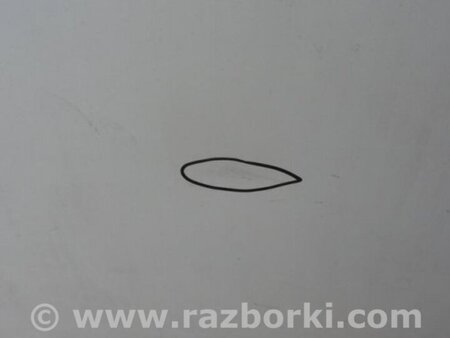 ФОТО Дверь для Acura TSX CL9 (01.2003-02.2008) Киев