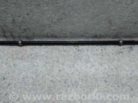 ФОТО Стабилизатор задний для Lexus RX350/450 (09-15) Киев