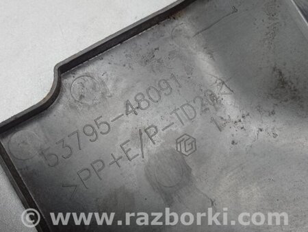 ФОТО Пластик подкапотного отсека для Lexus RX350/450 (09-15) Киев
