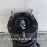 ФОТО Амортизатор для Toyota Camry 40 XV40 (01.2006-07.2011) Киев