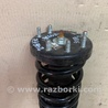 ФОТО Амортизатор для Honda Accord CW (12.2008 - 03.2013) Киев