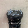 ФОТО Амортизатор для Honda Accord CW (12.2008 - 03.2013) Киев