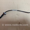 Датчик ABS Honda Accord CW (12.2008 - 03.2013)