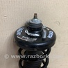 ФОТО Амортизатор для Honda Accord CW (12.2008 - 03.2013) Киев