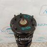 ФОТО Амортизатор для Acura TSX CU2 (03.2008-05.2014) Киев