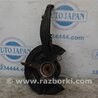 Кулак поворотный Acura TSX CU2 (03.2008-05.2014)