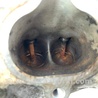 ФОТО Головка блока для Honda Accord CW (12.2008 - 03.2013) Киев