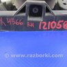 ФОТО Противотуманная фара для Acura TSX CU2 (03.2008-05.2014) Киев