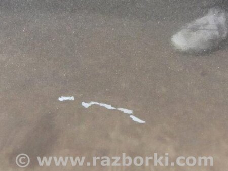ФОТО Дверь для Acura TSX CU2 (03.2008-05.2014) Киев