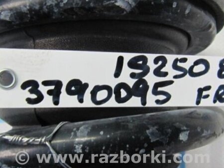 ФОТО Амортизатор для Lexus IS250/350 (06-12) Киев