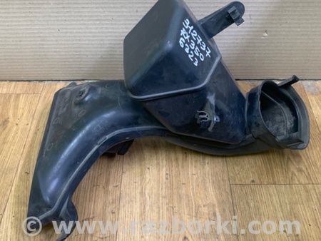 ФОТО Воздухозаборник для Lexus RX350/450 (09-15) Киев