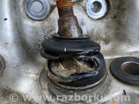 ФОТО Кулак поворотный для Lexus LS460 (06-12) Киев