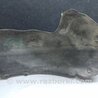 ФОТО Подкрылок для Hyundai Sonata YF (09.2009-03.2014) Киев