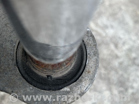 ФОТО Цапфа для Nissan Altima L32 Киев