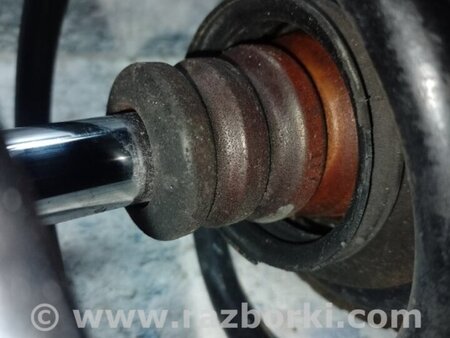 ФОТО Амортизатор для Toyota Prius 30 (09-17) Киев