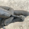 ФОТО Датчик ABS для Nissan Versa B17 Киев