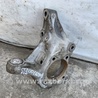 ФОТО Кулак поворотный для Lexus CT200 (11-17) Киев
