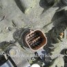 ФОТО АКПП (коробка автомат) для Hyundai Santa Fe DM (12-18) Киев