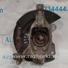 Кулак поворотный Nissan Pathfinder R52