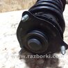 ФОТО Амортизатор для Acura RDX TB3, TB4 (03.2012-12.2015) Киев