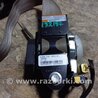 ФОТО Ремень безопасности для Acura RDX TB3, TB4 (03.2012-12.2015) Киев