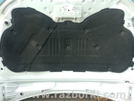 ФОТО Капот для Audi (Ауди) Q5 8R (04.2008-03.2017) Киев