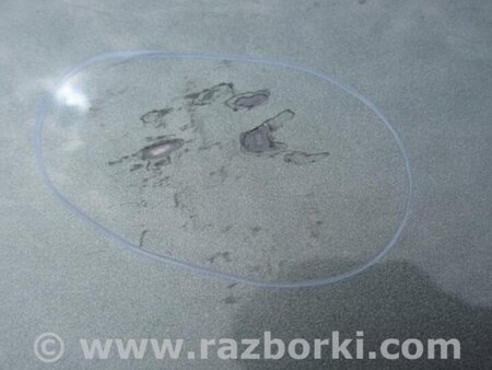 ФОТО Дверь для Subaru Forester (2013-) Киев