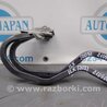 Петля крышки багажника Acura ILX (2012-2016)